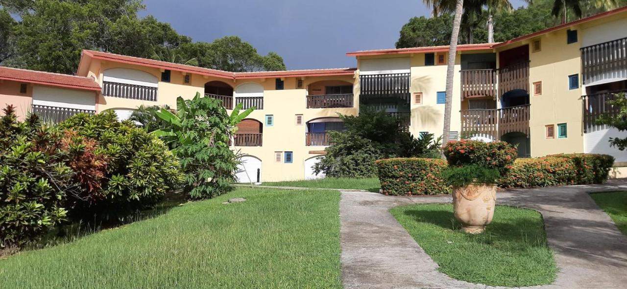 Case Coco A Sainte Anne Avec Wifi Vue Mer المظهر الخارجي الصورة
