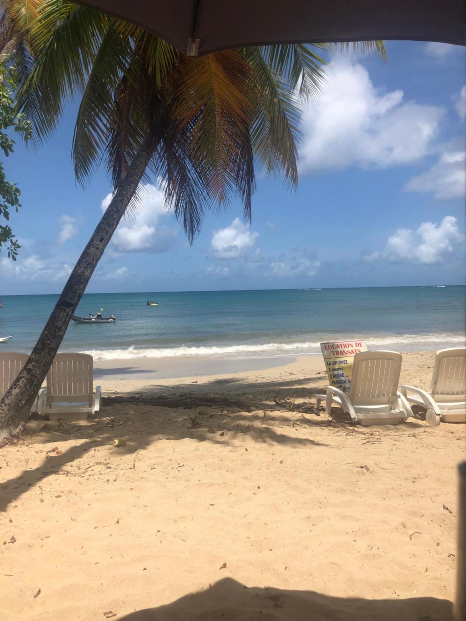 Case Coco A Sainte Anne Avec Wifi Vue Mer المظهر الخارجي الصورة